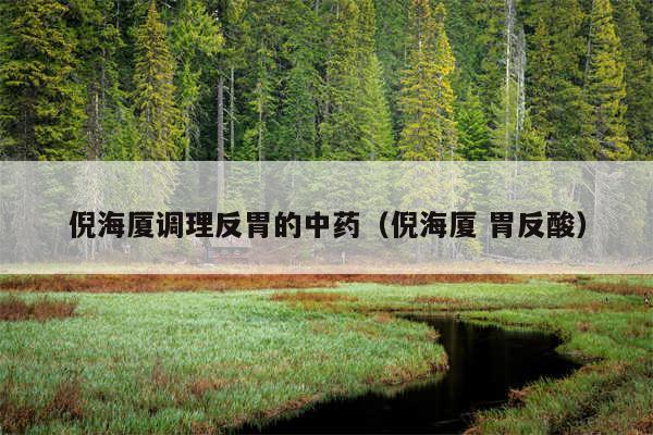 倪海厦调理反胃的中药（倪海厦 胃反酸）