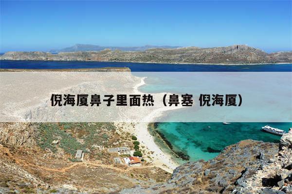 倪海厦鼻子里面热（鼻塞 倪海厦）