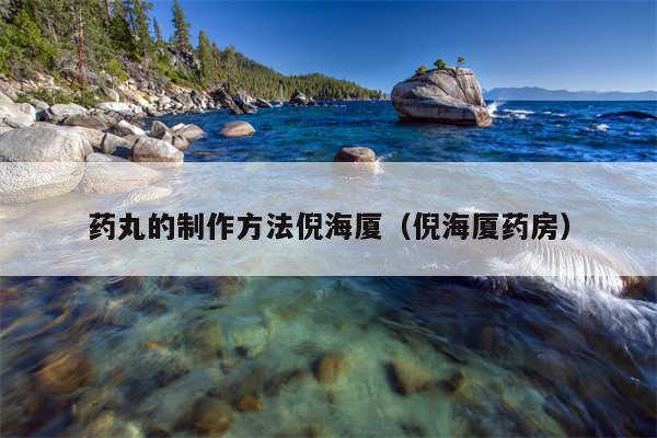 药丸的制作方法倪海厦（倪海厦药房）