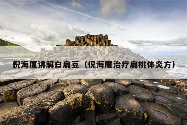 倪海厦讲解白扁豆（倪海厦治疗扁桃体炎方）