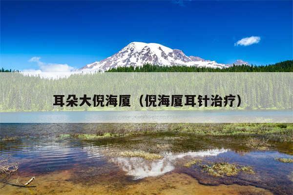 耳朵大倪海厦（倪海厦耳针治疗）