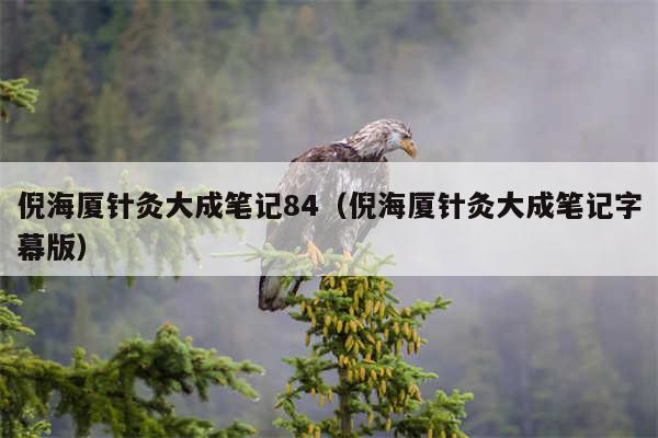 倪海厦针灸大成笔记84（倪海厦针灸大成笔记字幕版）