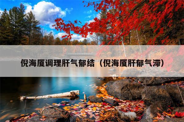 倪海厦调理肝气郁结（倪海厦肝郁气滞）