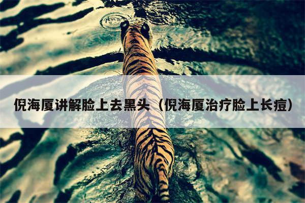 倪海厦讲解脸上去黑头（倪海厦治疗脸上长痘）