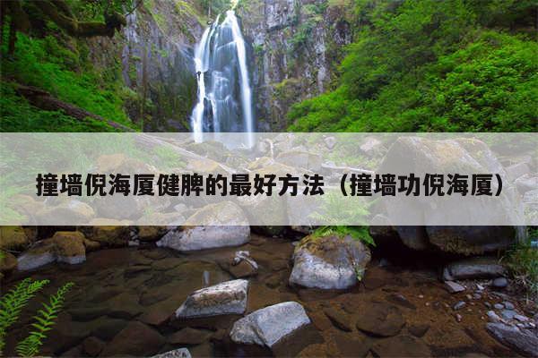 撞墙倪海厦健脾的最好方法（撞墙功倪海厦）