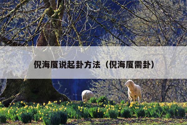倪海厦说起卦方法（倪海厦需卦）