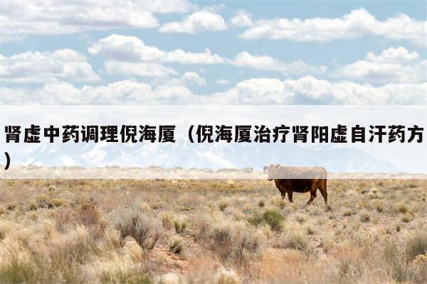 肾虚中药调理倪海厦（倪海厦治疗肾阳虚自汗药方）