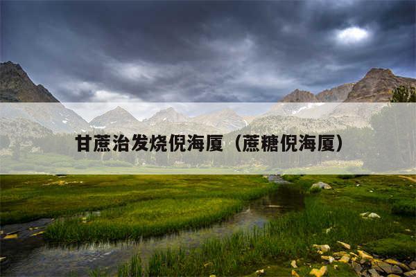 甘蔗治发烧倪海厦（蔗糖倪海厦）