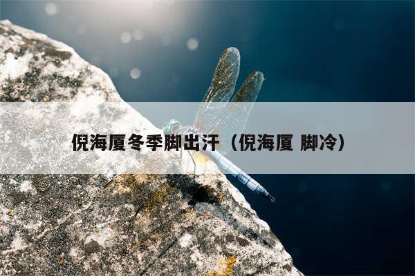 倪海厦冬季脚出汗（倪海厦 脚冷）