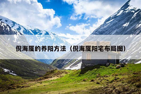 倪海厦的养阳方法(倪海厦阳宅布局图)