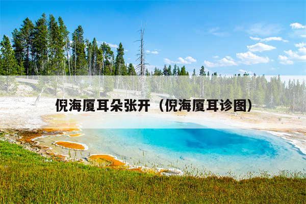 倪海厦耳朵张开(倪海厦耳诊图)