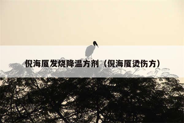 倪海厦发烧降温方剂（倪海厦烫伤方）
