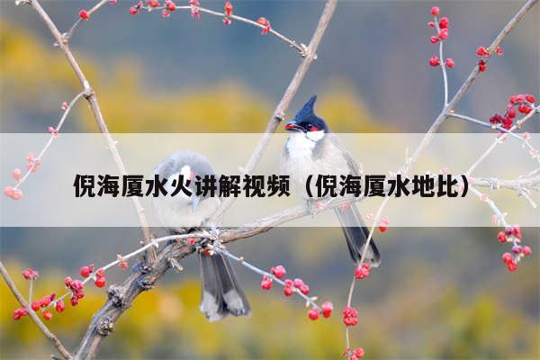 倪海厦水火讲解视频(倪海厦水地比)