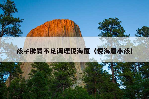 孩子脾胃不足调理倪海厦（倪海厦小孩）