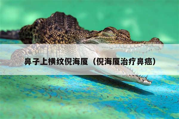 鼻子上横纹倪海厦(倪海厦治疗鼻癌)