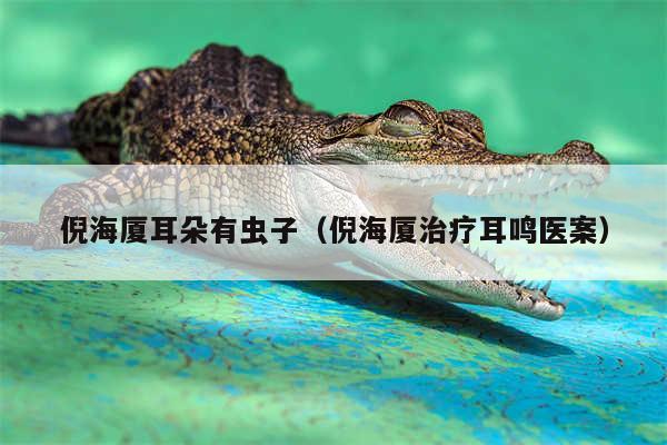 倪海厦耳朵有虫子(倪海厦治疗耳鸣医案)