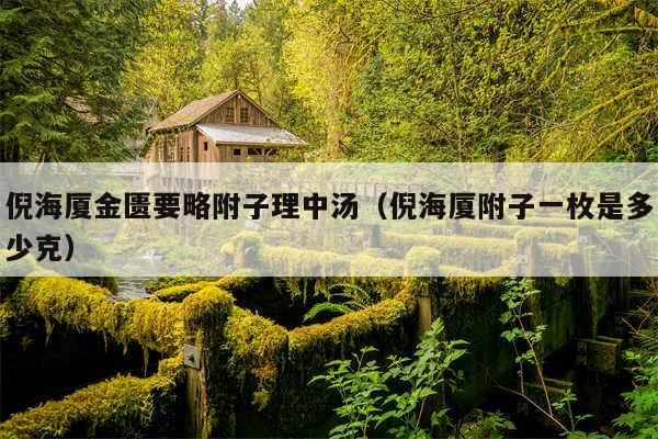 倪海厦金匮要略附子理中汤(倪海厦附子一枚是多少克)