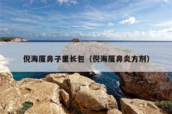 倪海厦鼻子里长包(倪海厦鼻炎方剂)
