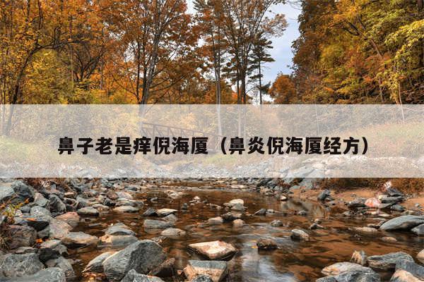 鼻子老是痒倪海厦(鼻炎倪海厦经方)