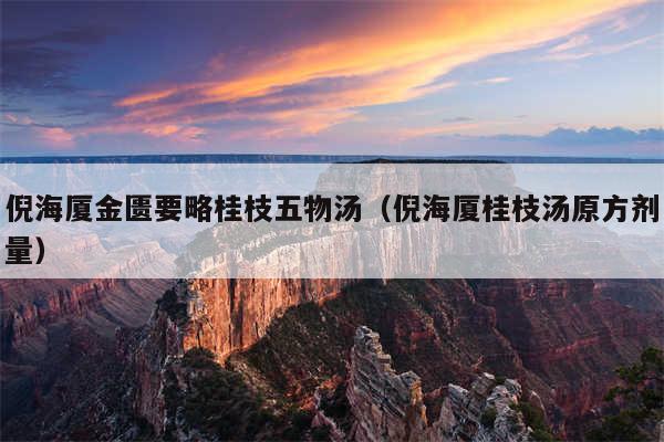 倪海厦金匮要略桂枝五物汤(倪海厦桂枝汤原方剂量)