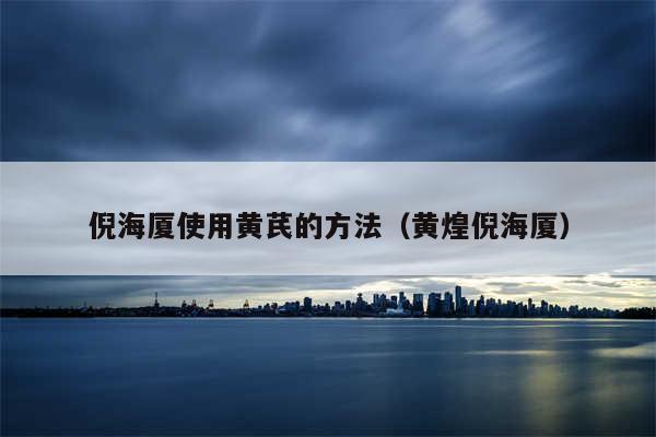 倪海厦使用黄芪的方法(黄煌倪海厦)