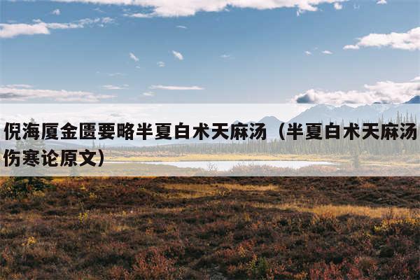 倪海厦金匮要略半夏白术天麻汤（半夏白术天麻汤伤寒论原文）