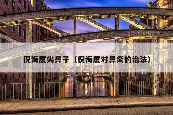 倪海厦尖鼻子（倪海厦对鼻炎的治法）