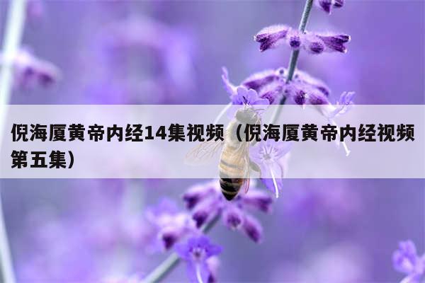 倪海厦黄帝内经14集视频(倪海厦黄帝内经视频第五集)