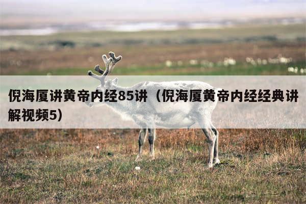 倪海厦讲黄帝内经85讲（倪海厦黄帝内经经典讲解视频5）