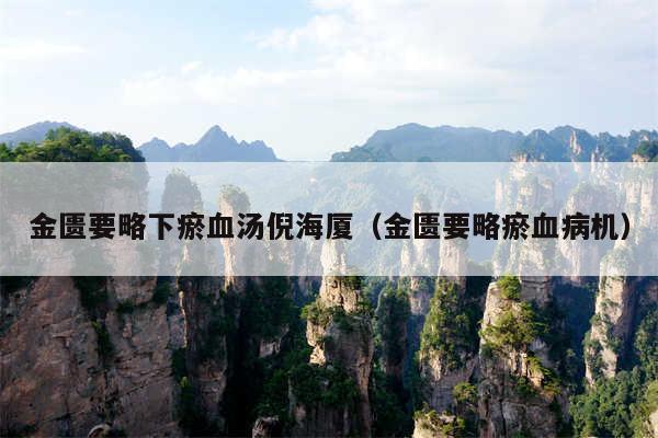 金匮要略下瘀血汤倪海厦（金匮要略瘀血病机）
