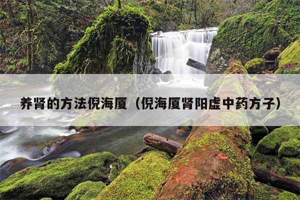 养肾的方法倪海厦（倪海厦肾阳虚中药方子）