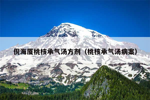 倪海厦桃核承气汤方剂(桃核承气汤病案)