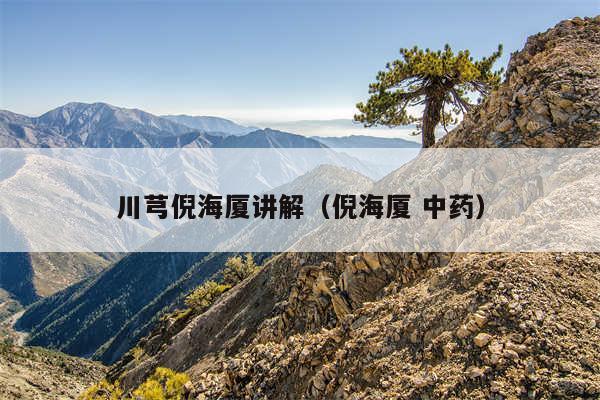 川芎倪海厦讲解(倪海厦 中药)