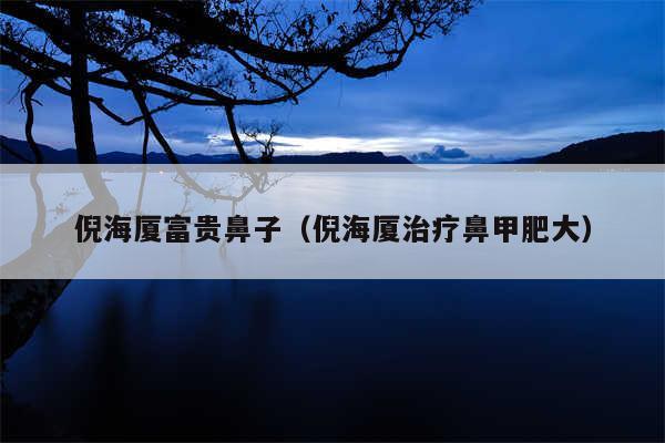 倪海厦富贵鼻子（倪海厦治疗鼻甲肥大）