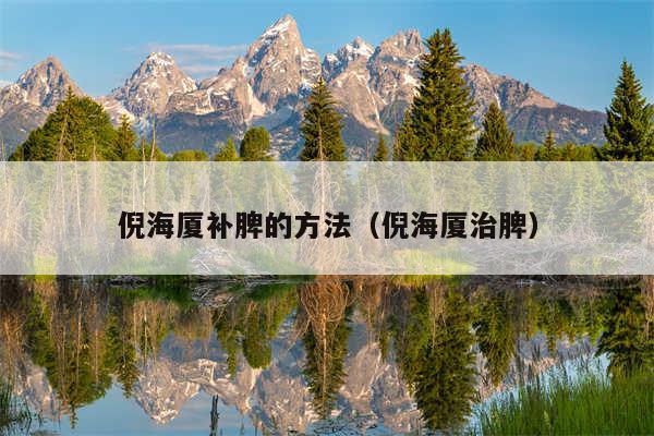 倪海厦补脾的方法（倪海厦治脾）
