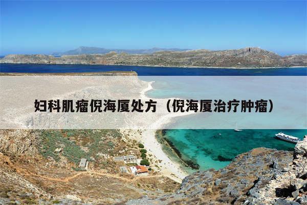 妇科肌瘤倪海厦处方（倪海厦治疗肿瘤）