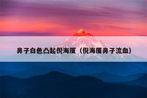 鼻子白色凸起倪海厦（倪海厦鼻子流血）