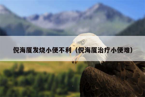 倪海厦发烧小便不利（倪海厦治疗小便难）