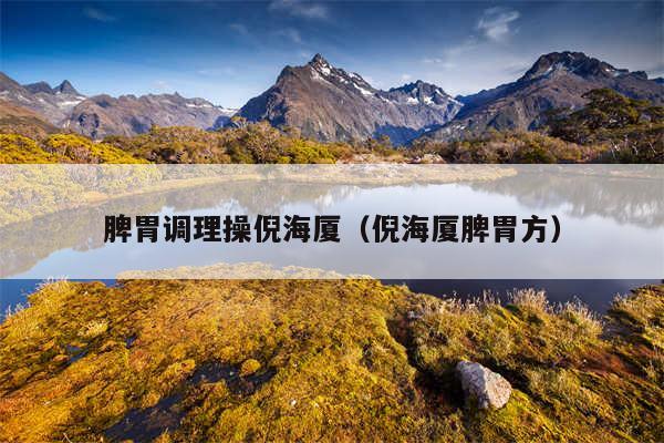 脾胃调理操倪海厦(倪海厦脾胃方)