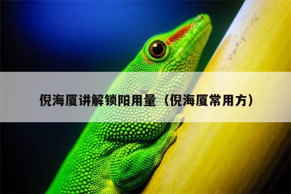 倪海厦讲解锁阳用量(倪海厦常用方)