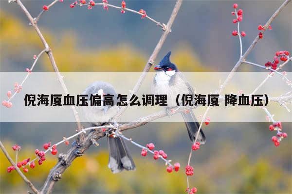 倪海厦血压偏高怎么调理(倪海厦 降血压)