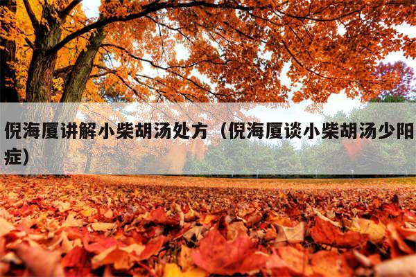 倪海厦讲解小柴胡汤处方(倪海厦谈小柴胡汤少阳症)