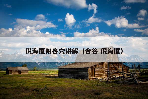 倪海厦阳谷穴讲解(合谷 倪海厦)