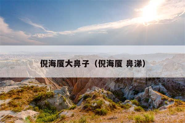 倪海厦大鼻子(倪海厦 鼻涕)