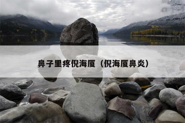 鼻子里疼倪海厦(倪海厦鼻炎)