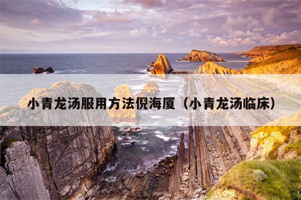 小青龙汤服用方法倪海厦(小青龙汤临床)