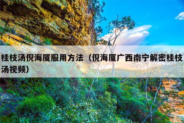 桂枝汤倪海厦服用方法(倪海厦广西南宁解密桂枝汤视频)