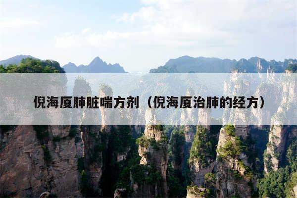 倪海厦肺脏喘方剂(倪海厦治肺的经方)