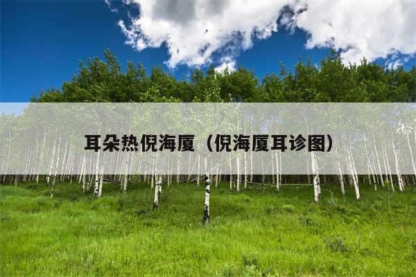 耳朵热倪海厦(倪海厦耳诊图)