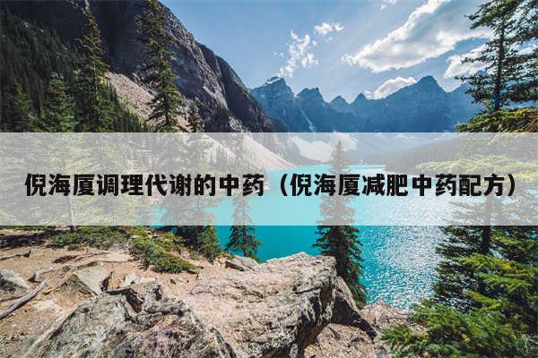 倪海厦调理代谢的中药(倪海厦减肥中药配方)